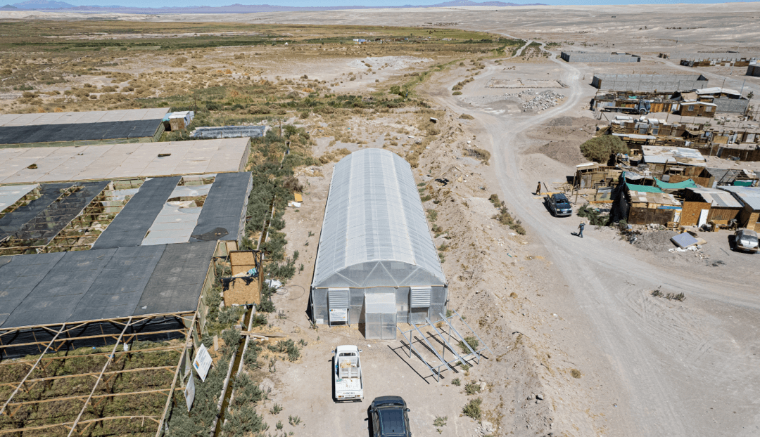 Invernadero de alta tecnología en Chiu Chiu