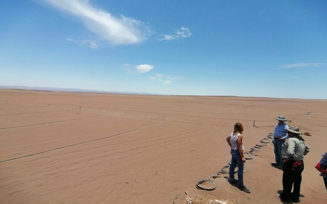 Consorcio Del Desierto realiza visita a proyectos de SQM y otras empresas asociadas en la Región de Antofagasta